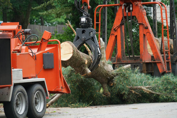 Best Utility Line Clearance  in Pine Ridge, SD